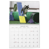 Leistungs-Boxer-Kalender 2013 Kalender (Jan 2027)