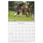 Leistungs-Boxer-Kalender 2013 Kalender (Mär 2027)