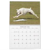 Leistungs-Boxer-Kalender 2013 Kalender (Feb 2026)