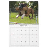 Leistungs-Boxer-Kalender 2013 Kalender (Mär 2026)