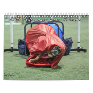 Leistungs-Boxer-Kalender 2014 Kalender