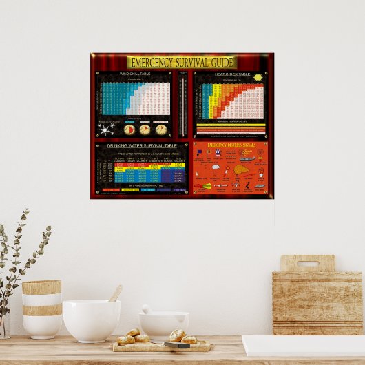 LEISTUNGSLEITFADEN FÜR NOTFALLEN POSTER (Küche)