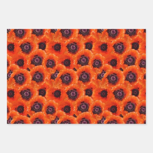 Leistungsstarke Pflückpapierblätter Geschenkpapier Set (Vorderseite 3)