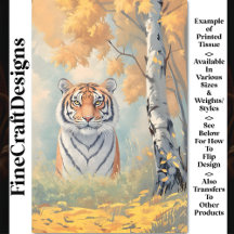 Leistungsstarker Regal Tiger, intensiver Blick CB2