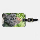 Leistungsstarker Silverback Gorilla inmitten grüne Gepäckanhänger (Vorderseite horizontal)