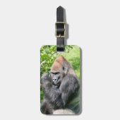 Leistungsstarker Silverback Gorilla inmitten grüne Gepäckanhänger (Vorderseite vertikal)