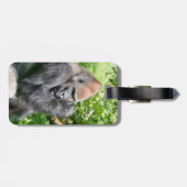 Leistungsstarker Silverback Gorilla inmitten grüne Gepäckanhänger (Rückseite horizontal)
