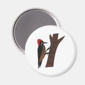 Leistungsstarker Woodpecker Magnet (Vorderseite/Rückseite)