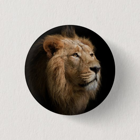 Leistungsstarkes Löwenportrait mit dunklem Hinterg Button (Vorderseite)