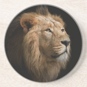 Leistungsstarkes Löwenportrait mit dunklem Hinterg Getränkeuntersetzer