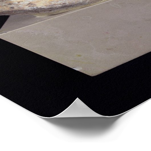 Leiter Berenice I oder Cleopatra I Poster (Ecke)