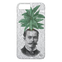 Leiter der Evergreen Head Pflanze