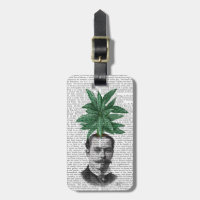 Leiter der Evergreen Head Pflanze