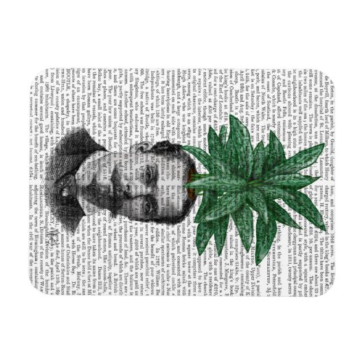 Leiter der Evergreen Head Pflanze Magnet (Horizontal)