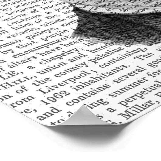 Leiter der Evergreen Head Pflanze Poster (Ecke)