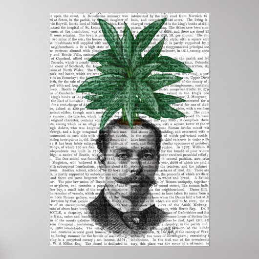 Leiter der Evergreen Head Pflanze Poster (Vorne)