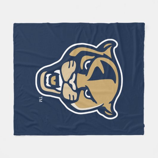 Leiter der FIU-Einheit Fleecedecke (Vorderseite (Horizontal))