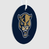 Leiter der FIU-Einheit Ornament (Vorderseite)