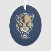 Leiter der FIU-Einheit Ornament (Vorderseite)