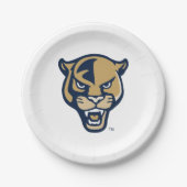 Leiter der FIU-Einheit Pappteller (Vorderseite)