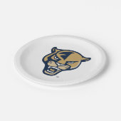 Leiter der FIU-Einheit Pappteller (Schrägansicht)