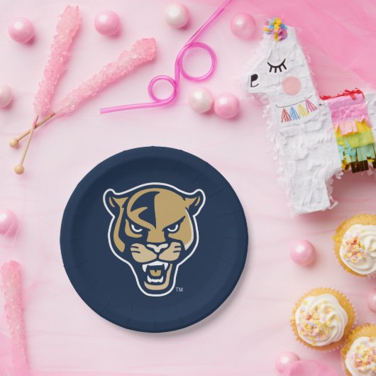 Leiter der FIU-Einheit Pappteller (Party)