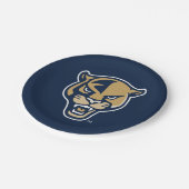 Leiter der FIU-Einheit Pappteller (Schrägansicht)