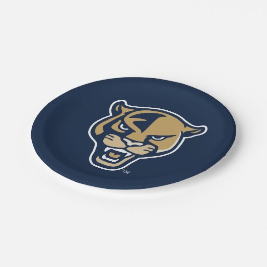 Leiter der FIU-Einheit Pappteller (Schrägansicht)