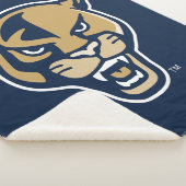 Leiter der FIU-Einheit Sherpadecke (3/4)