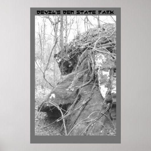 Leiter der Osterinsel Poster (Vorne)