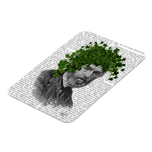 Leiter der Pflanze Magnet (Linke Seite)