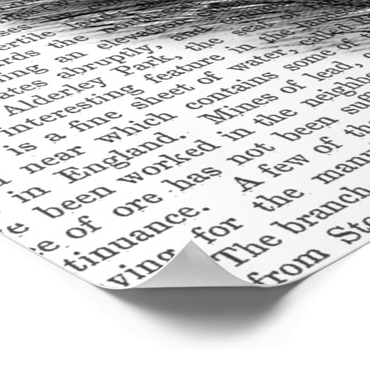 Leiter der Pflanze Poster (Ecke)