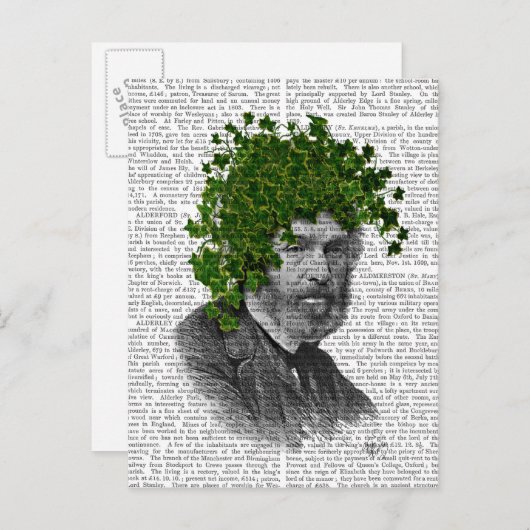 Leiter der Pflanze Postkarte (Vorne/Hinten)