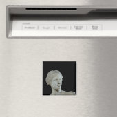 Leiter der Venus de Milo, c.100 v. Chr. Magnet (In Situ (Geschirrspüler))