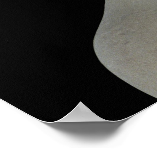 Leiter der Venus de Milo, c.100 v. Chr. Poster (Ecke)