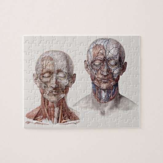 Leiter der Vintagen Anatomie Puzzle (Horizontal)