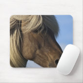 Leiter des isländischen Pferdes, Island Mousepad (Mit Mouse)
