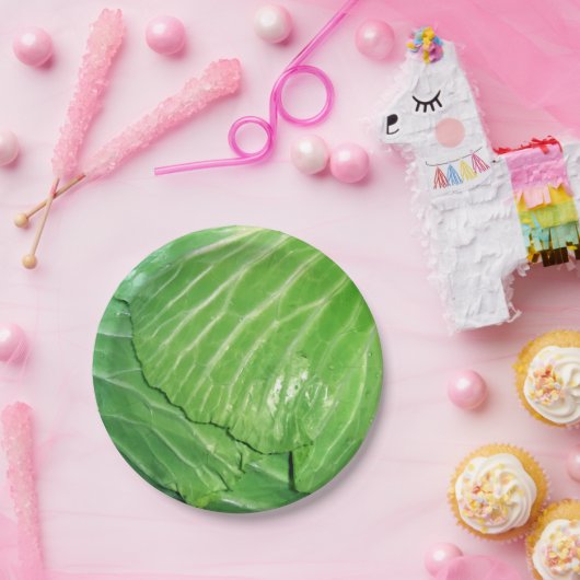 Leiter des Kabbage Pappteller (Party)