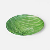 Leiter des Kabbage Pappteller (Schrägansicht)