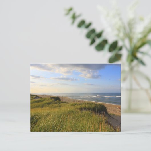 Leiter des Meadow Beach Truro Cape Cod Postkarte (Stehend Vorderseite)