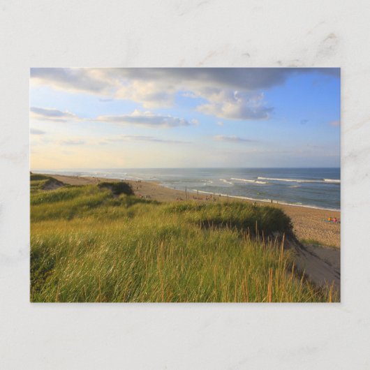 Leiter des Meadow Beach Truro Cape Cod Postkarte (Vorderseite)