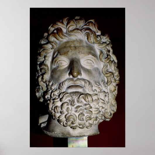 Leiter des Zeus Poster (Vorne)