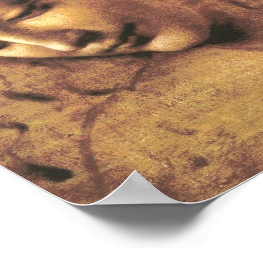 Leiter einer Frau La Scapigliata Leonardo Da Vinci Poster (Ecke)