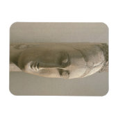 Leiter einer Frau (Stein) Magnet (Horizontal)