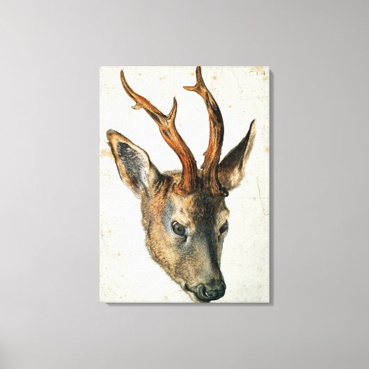 Leiter einer Roe Deer Leinwanddruck (Vorderseite)