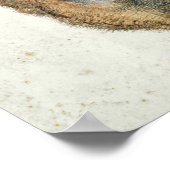 Leiter einer Roe Deer Poster (Ecke)