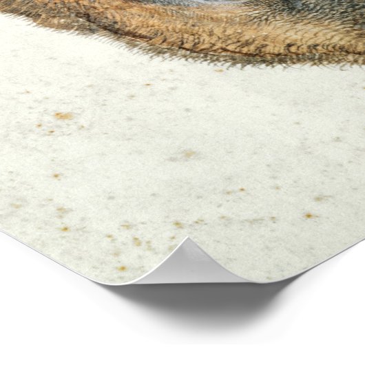 Leiter einer Roe Deer Poster (Ecke)