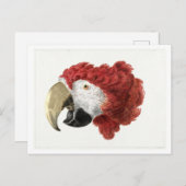 Leiter einer Vintagen Postkarte für eine Darstellu (Vorne/Hinten)