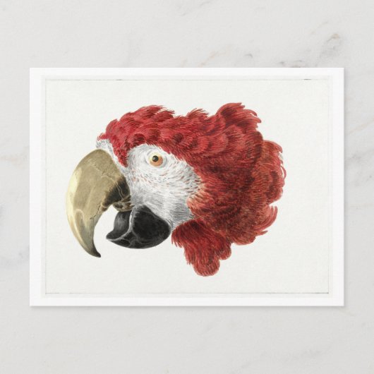 Leiter einer Vintagen Postkarte für eine Darstellu (Vorderseite)