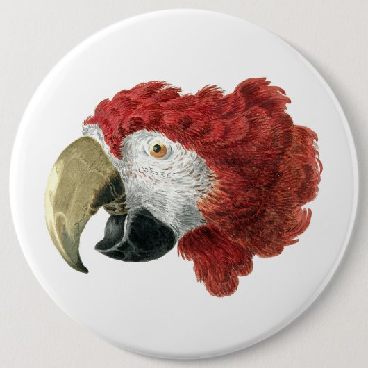 Leiter eines Ara (1725-1792) Aert Schouman Button (Vorderseite)